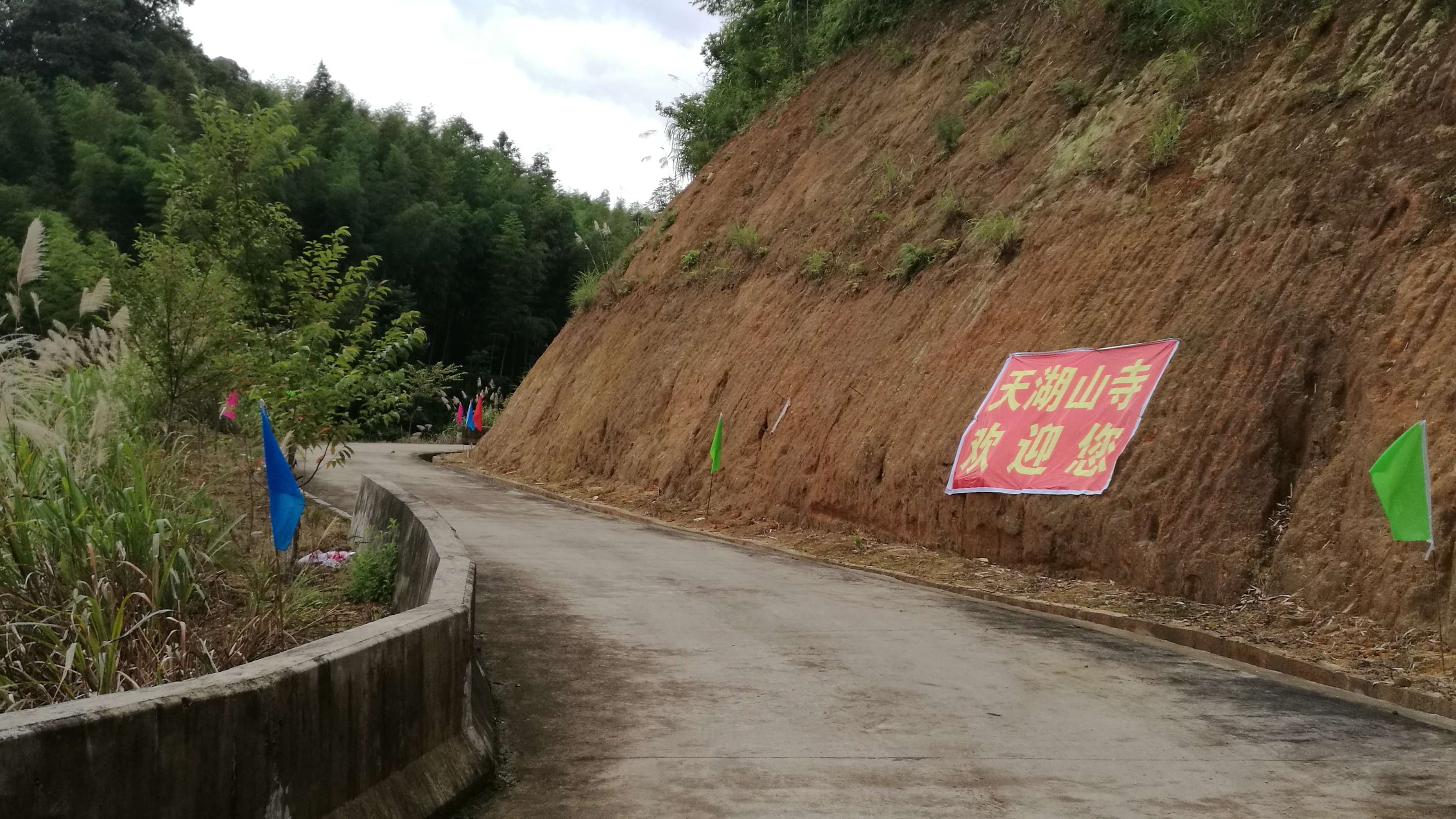 青州镇