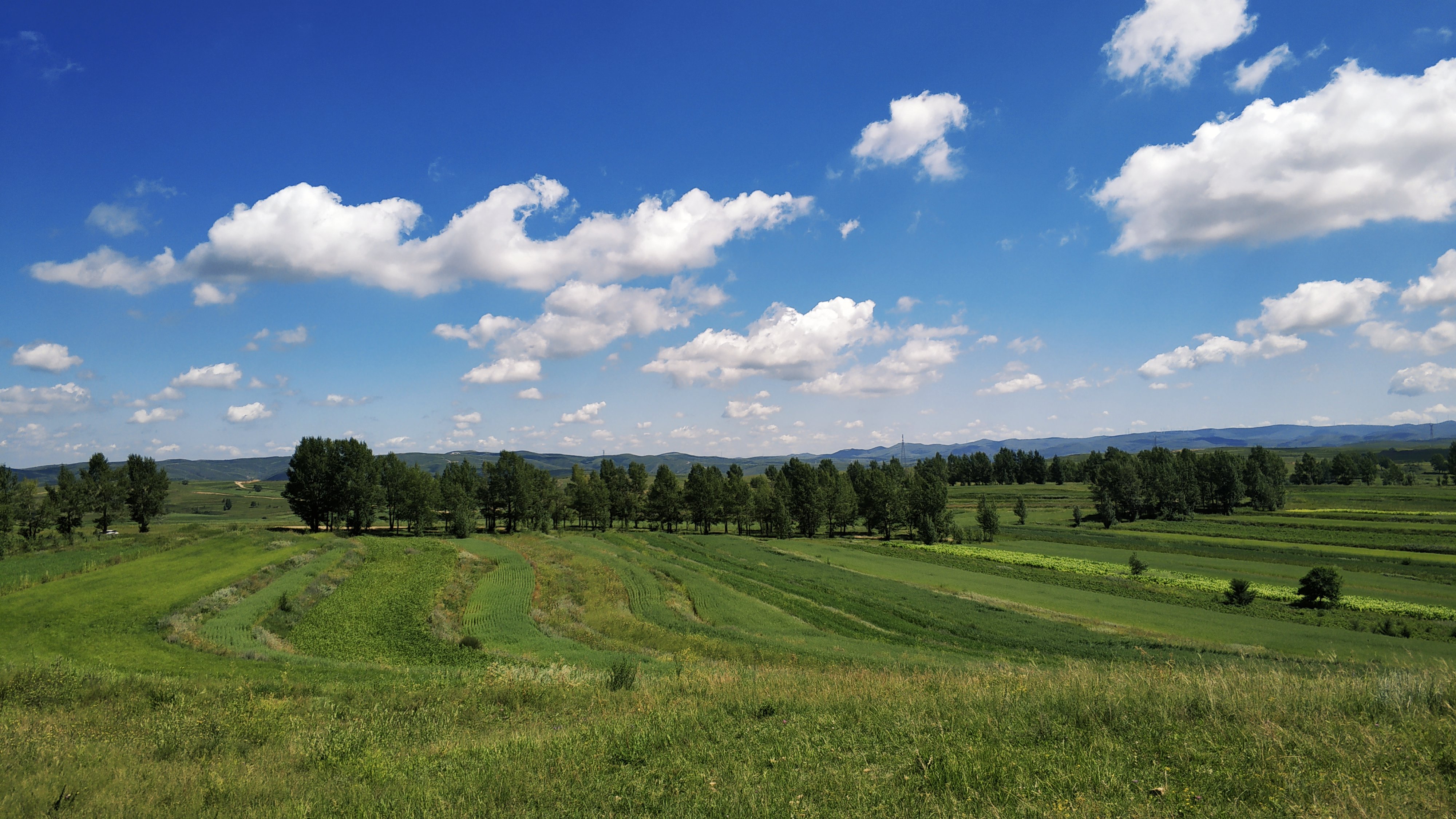 草原天路桦皮岭东