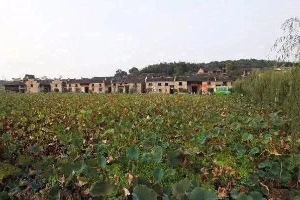  p>清江镇,湖南省郴州市资兴市下辖镇,地处 a target="_blank" href="