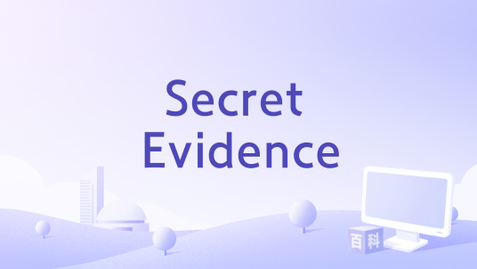 Secret Evidence_百度百科