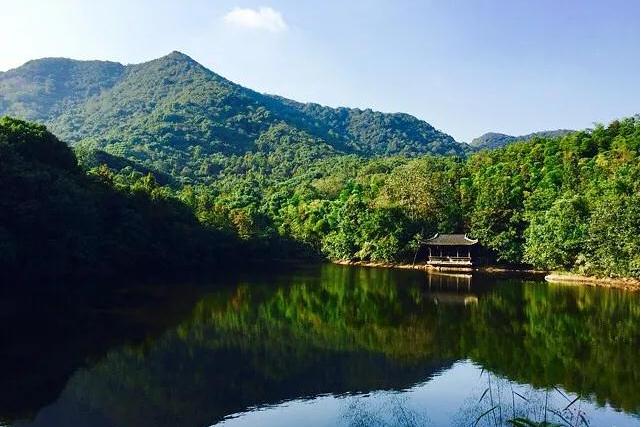  p data-id="gn7v6kj450">玉龙山国家森林公园经国家林业局于2003年12