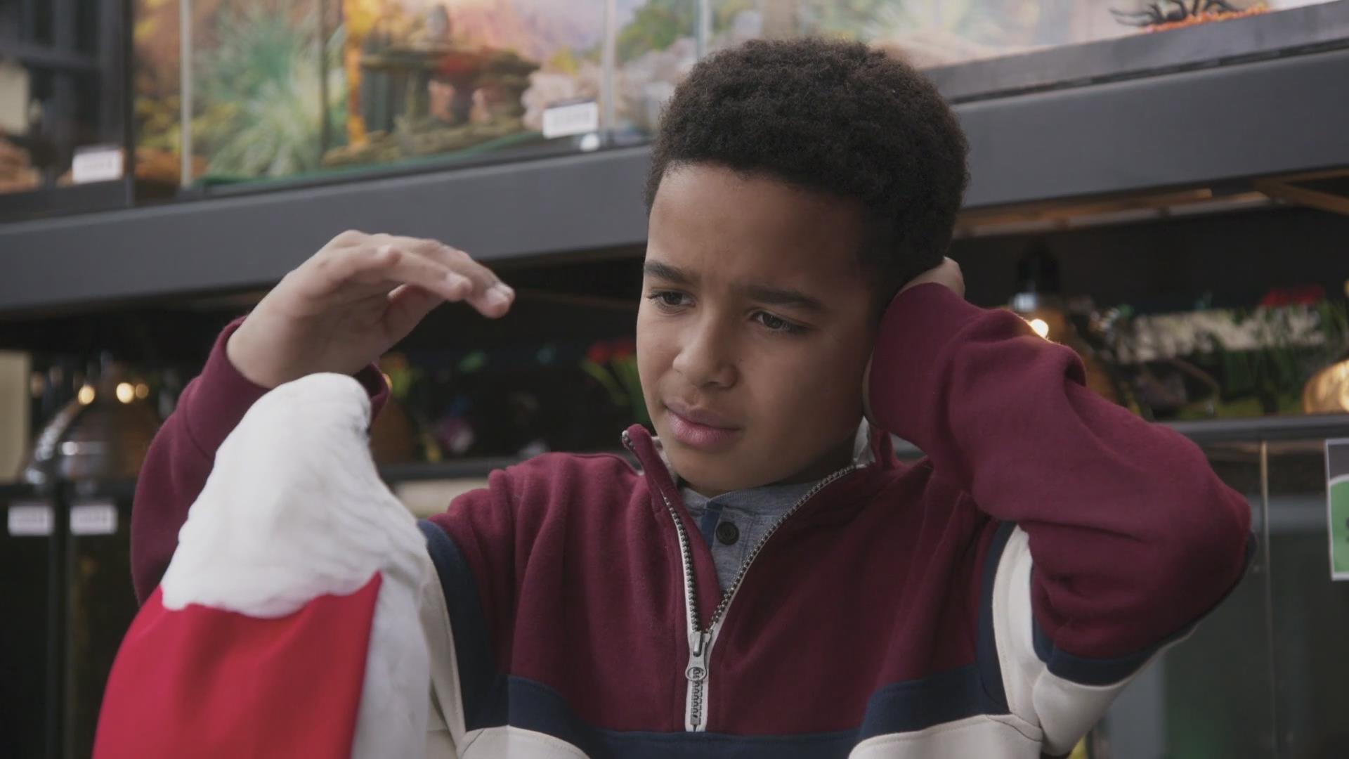 猫狗大战3:爪爪集结!