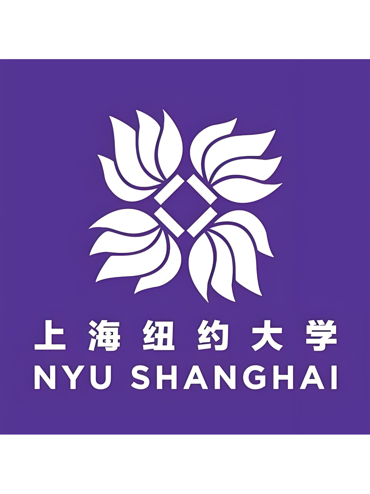上海纽约大学