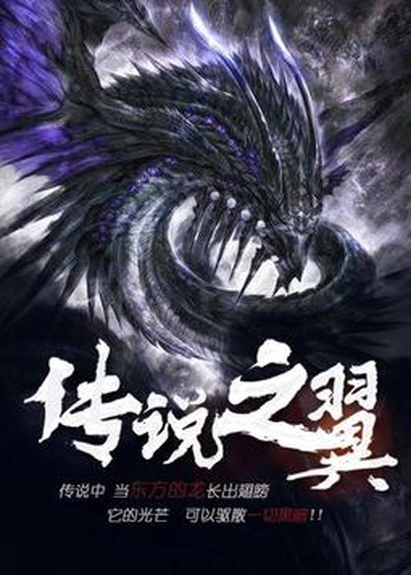  p>《传说之翼》是一本奇幻小说,作者是笑三少. /p>