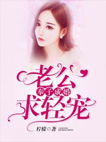奉子成婚:老公,求轻宠