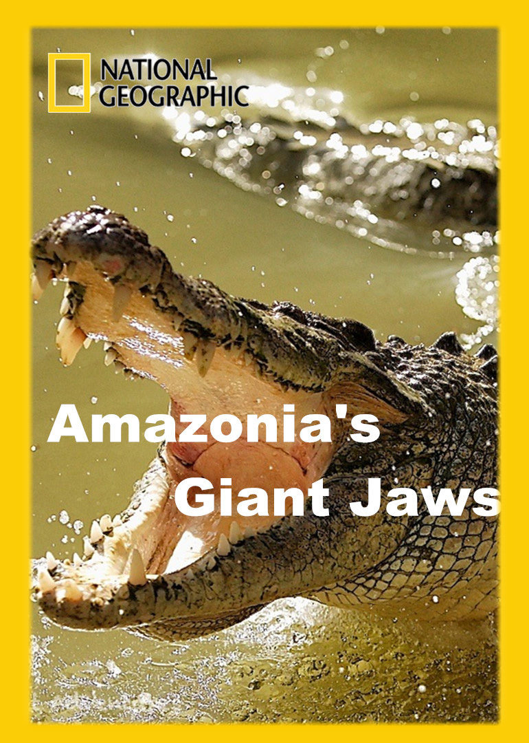  p>《亚马逊巨鳄》是腾讯视频出品的纪录片,共1集. /p>