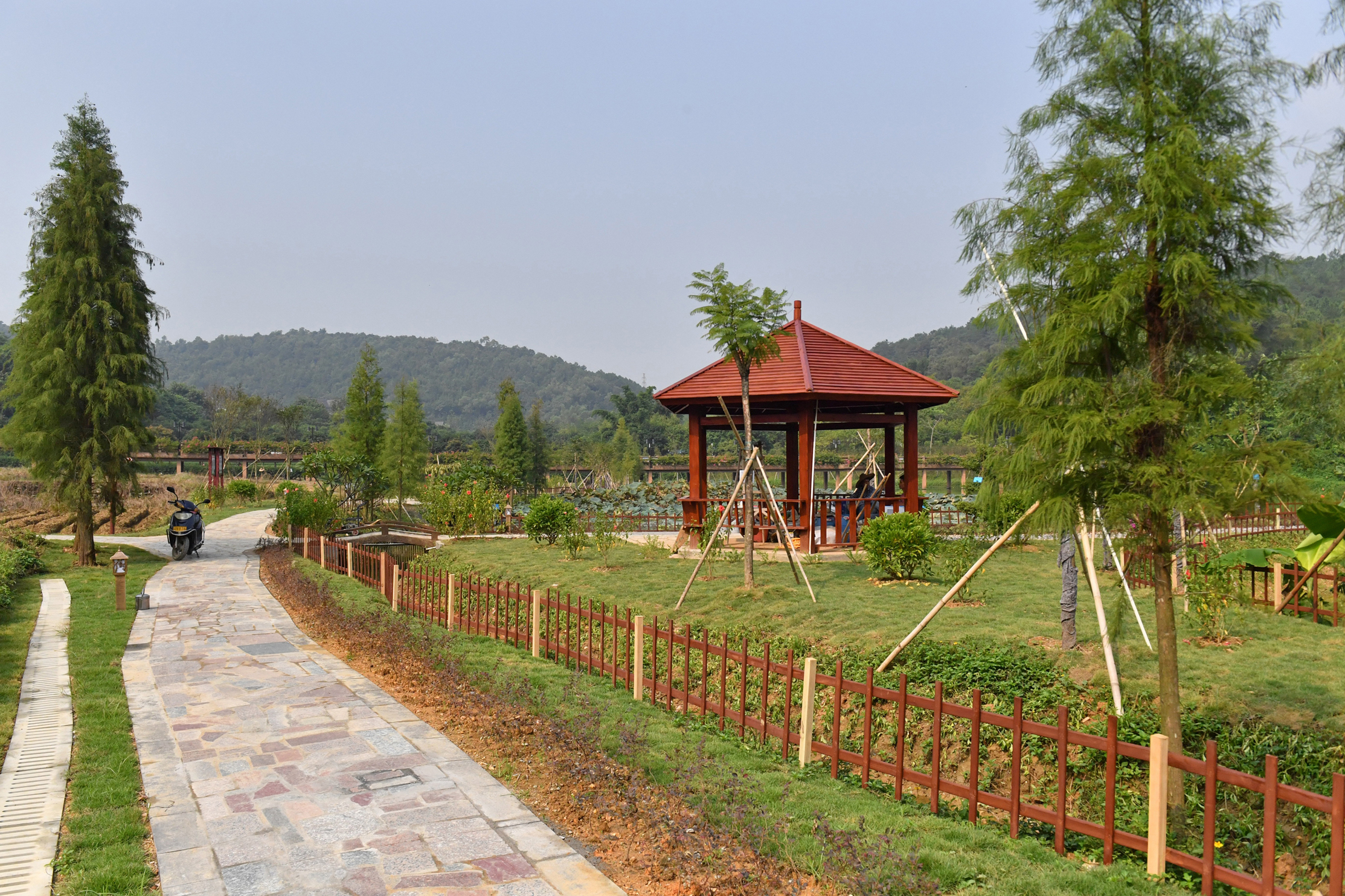 云浮市南山森林公园
