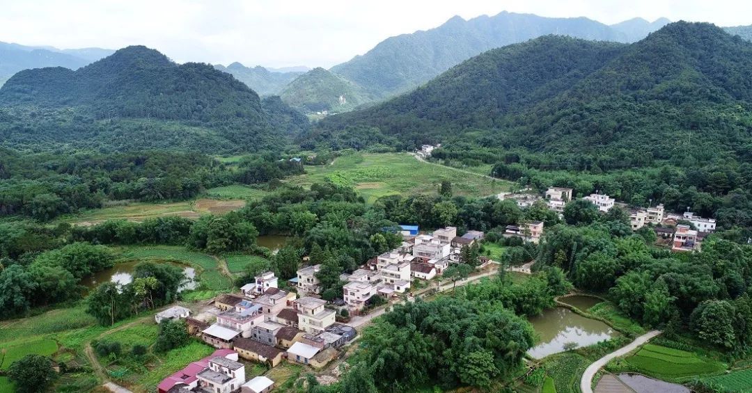 href="/item/江门市/782676" data-lemmaid="782676">江门市 /a>新会