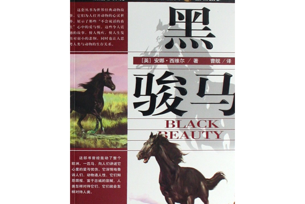 黑骏马歌曲(黑骏马歌曲腾格尔)