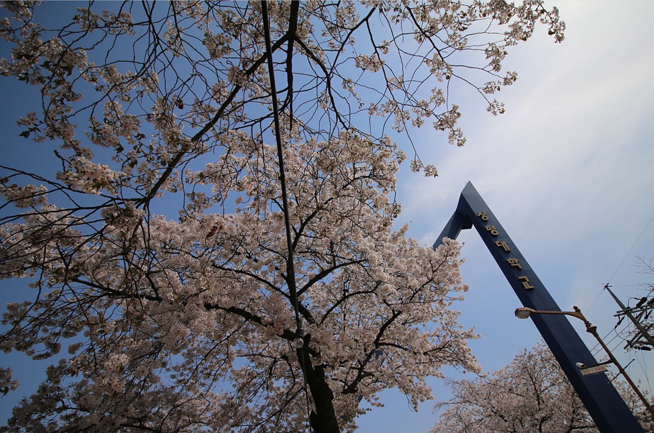  p>祥明大学(               , sangmyung university)是韩国著名私立