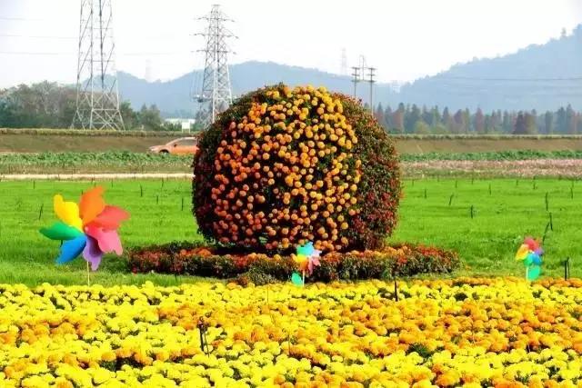 南海花卉博览园位于 a target="_blank" href="/item/佛山市南海区