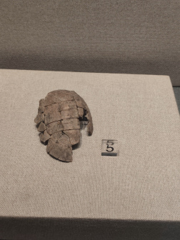 溧阳博物馆内藏品