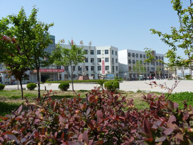 山东省成武第二中学