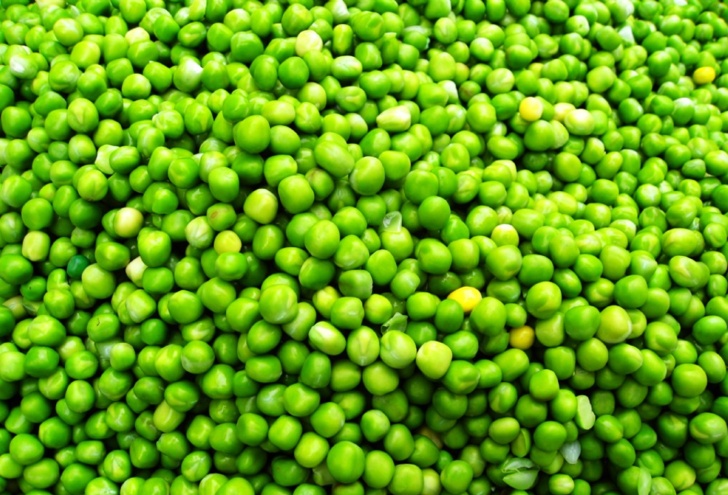 豌豆