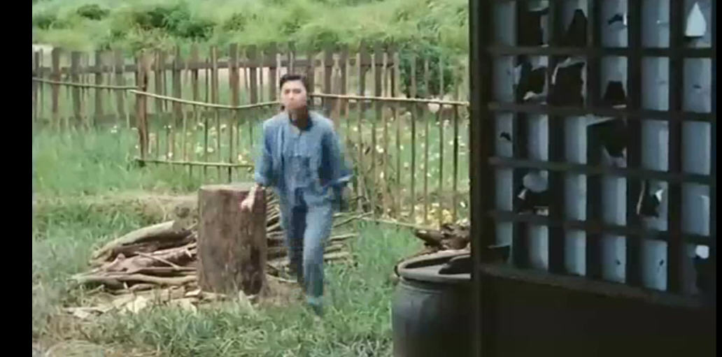 僵尸叔叔mr.vampire4(1988)