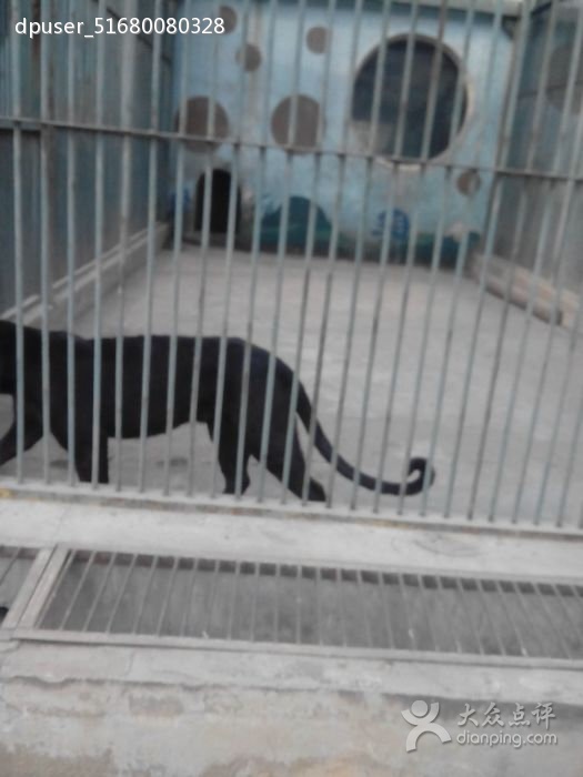 太原卧虎山动物园