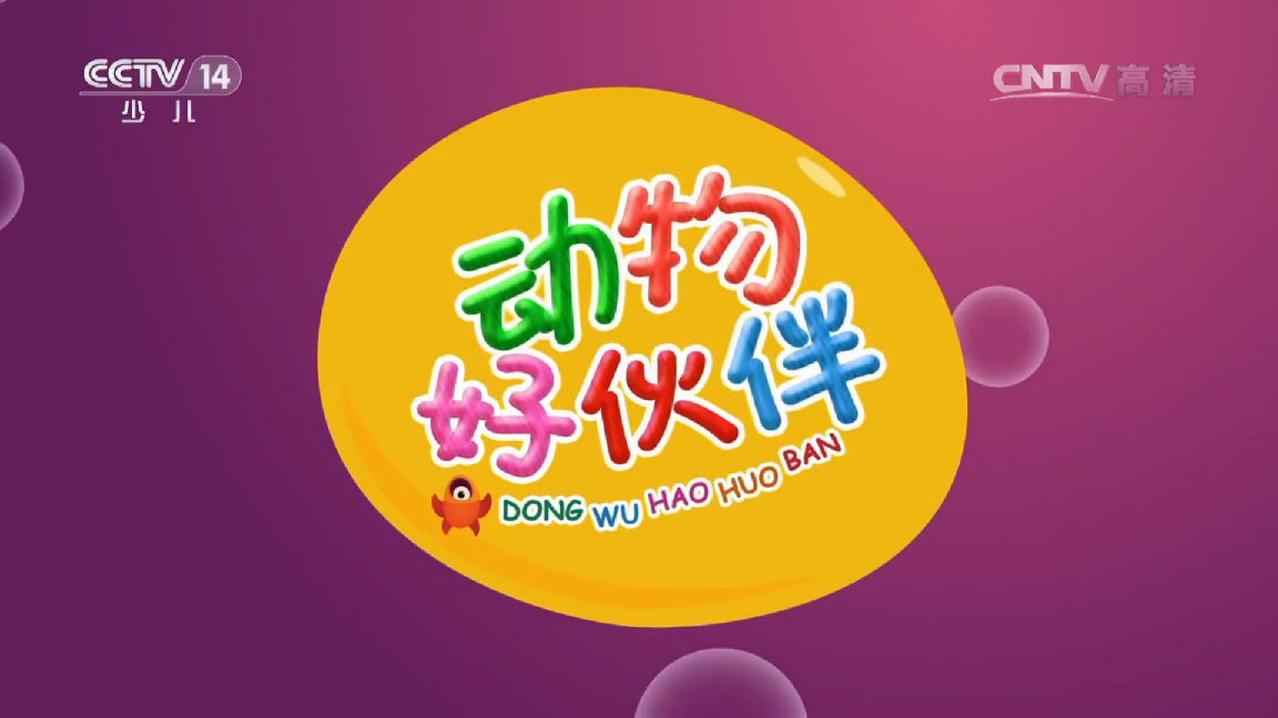 动物好伙伴第二季