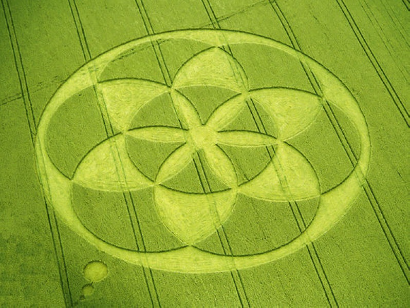 data-lemmaid="81806">麦田怪圈 /a>( i>crop circle /i>),是指在麦田