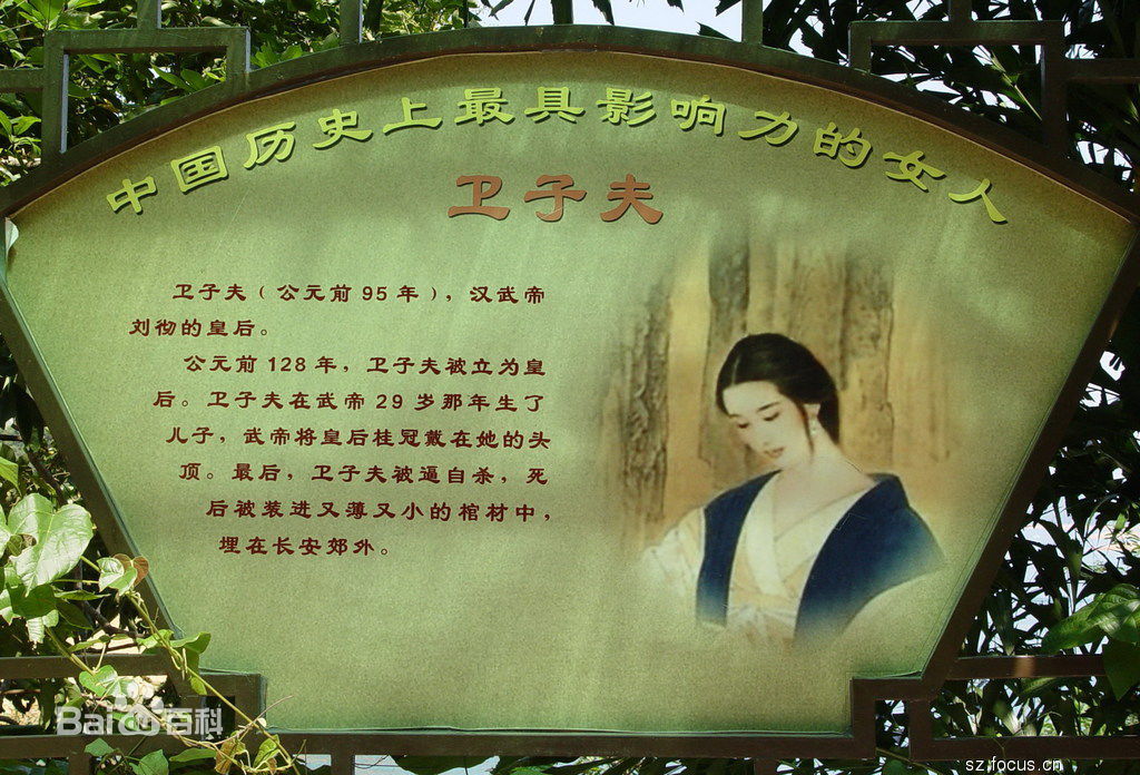 卫夫子