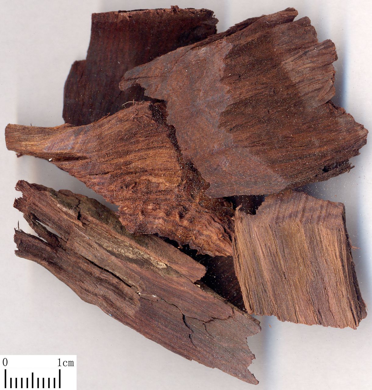  p>名称解释: 木本茎干最内的颜色通常较深的木材.