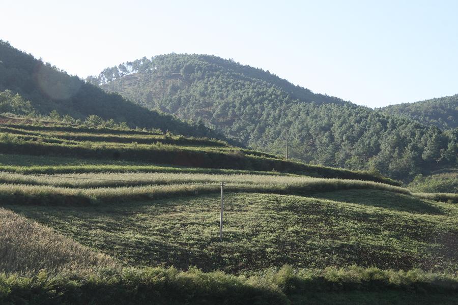 lemmaid="161012">昆明 /a>寻甸回族彝族自治县联合乡落水村民委员会