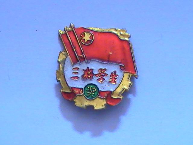  p>三好学生是中国的学校给予被评选出来的 a href="#" data-lemmaid=