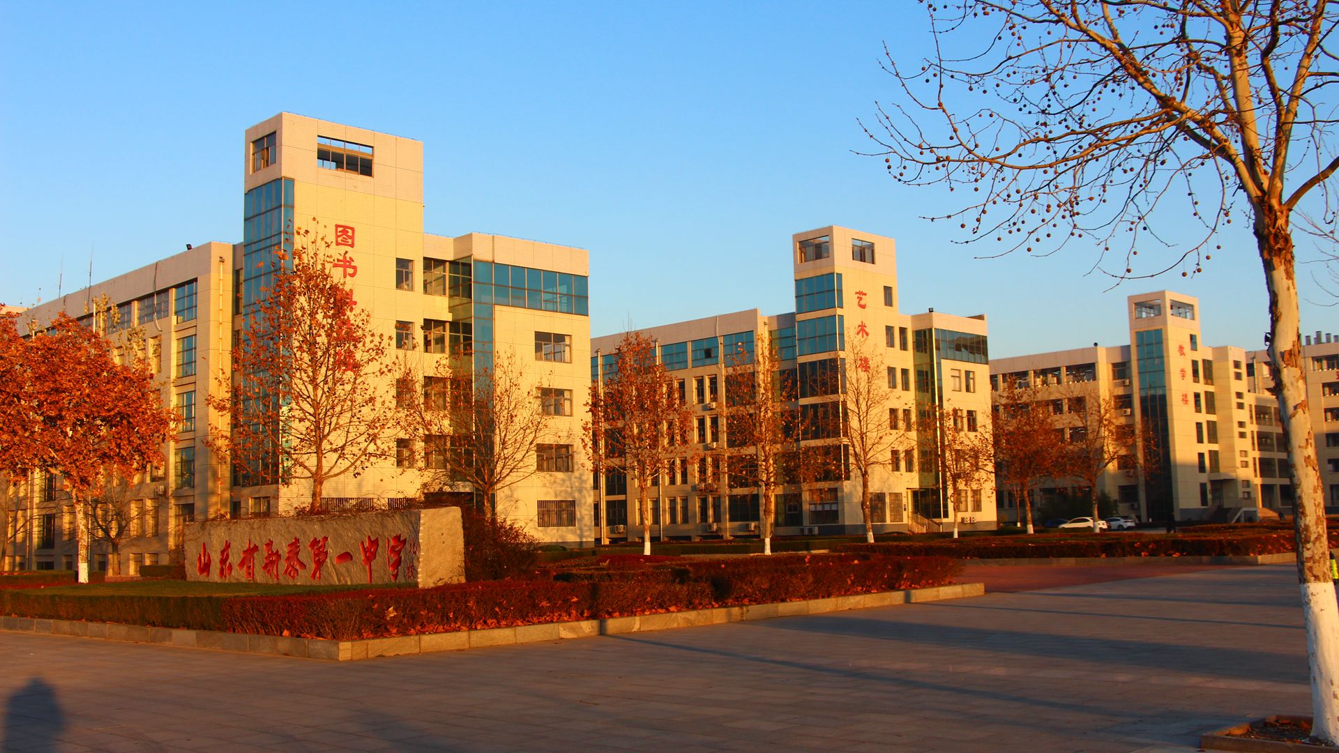  p data-id="gnc0tx4sh6">新泰一中北校是新泰市政府1.