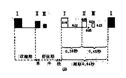  p>心动周期(cardiac cycle)指从一次 a target="_blank" href="/item