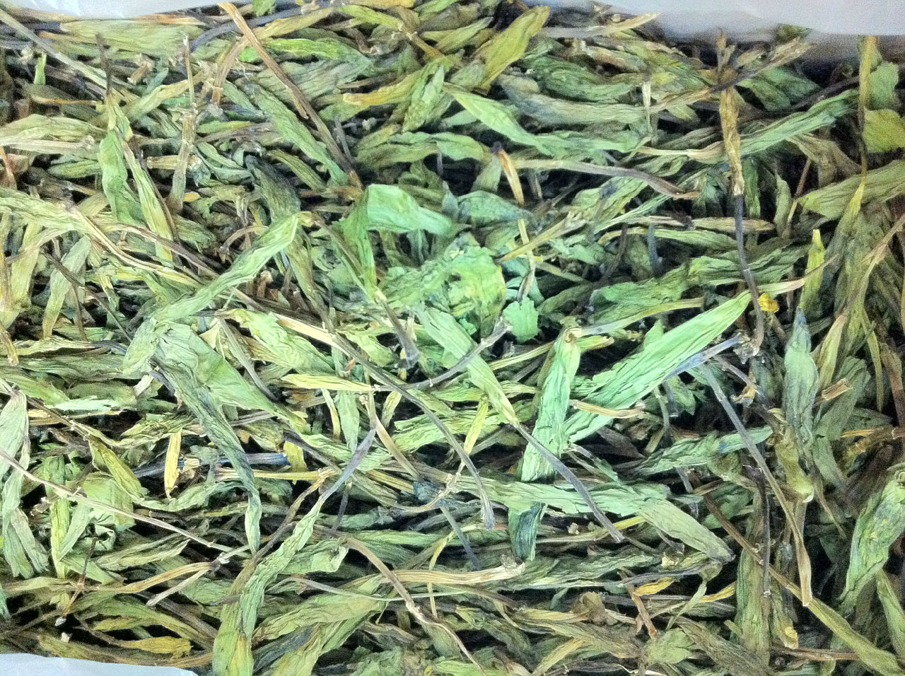 积雪融化后,生长出如<a target="