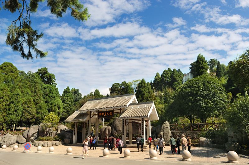 福州柳杉王公园