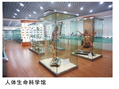 上海立达职业学院
