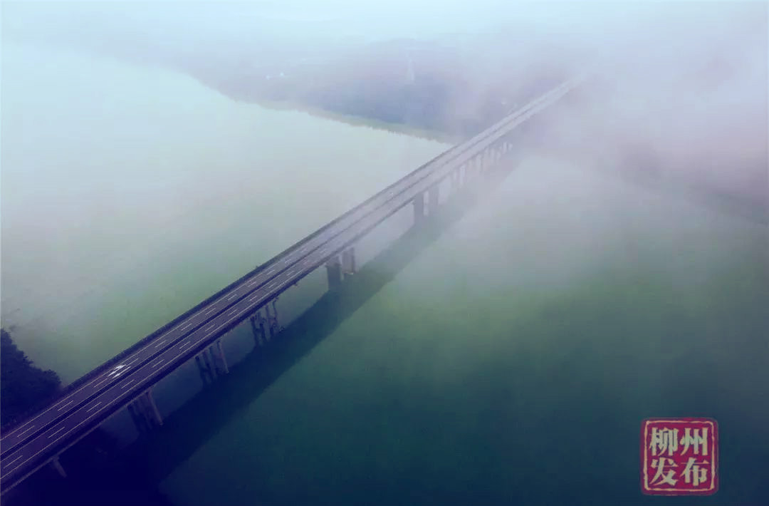  p> a href="#" data-lemmaid="219569">柳州 /a>螺丝岭大桥,位于柳州