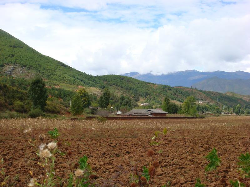 陈家湾自然村