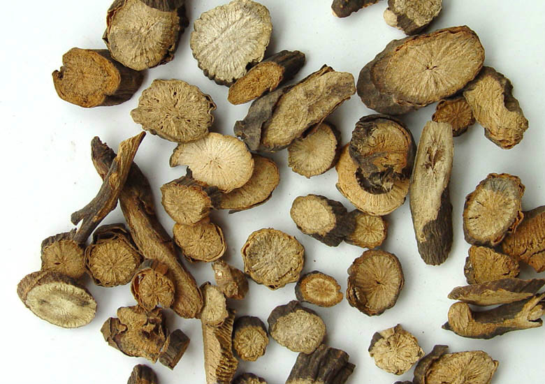 赤芍是著名野生地道中药材,应用历