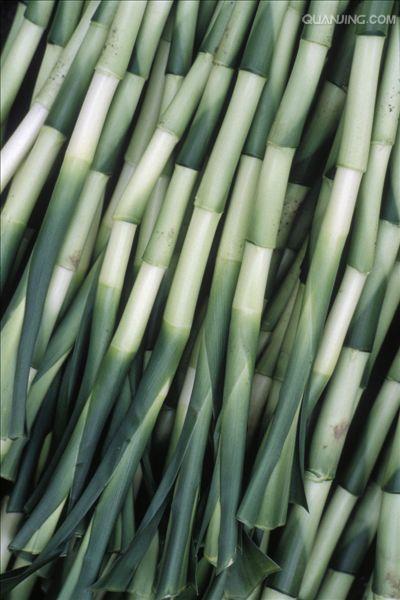  p data-id="gntshws67p">竹笋,禾本科 a target="_blank" href="