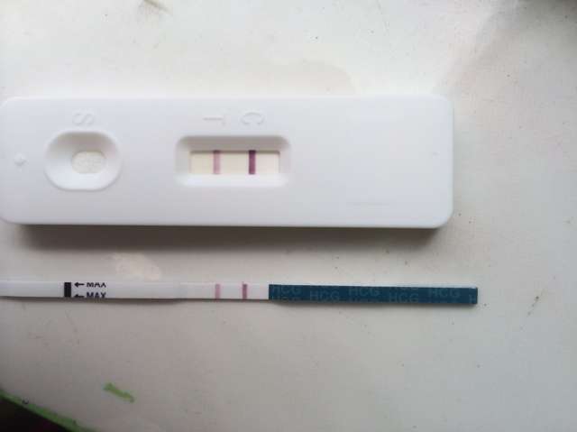 "554256">hcg /a>抗体与尿液中之抗原结合而呈现的反应判定怀孕与否的
