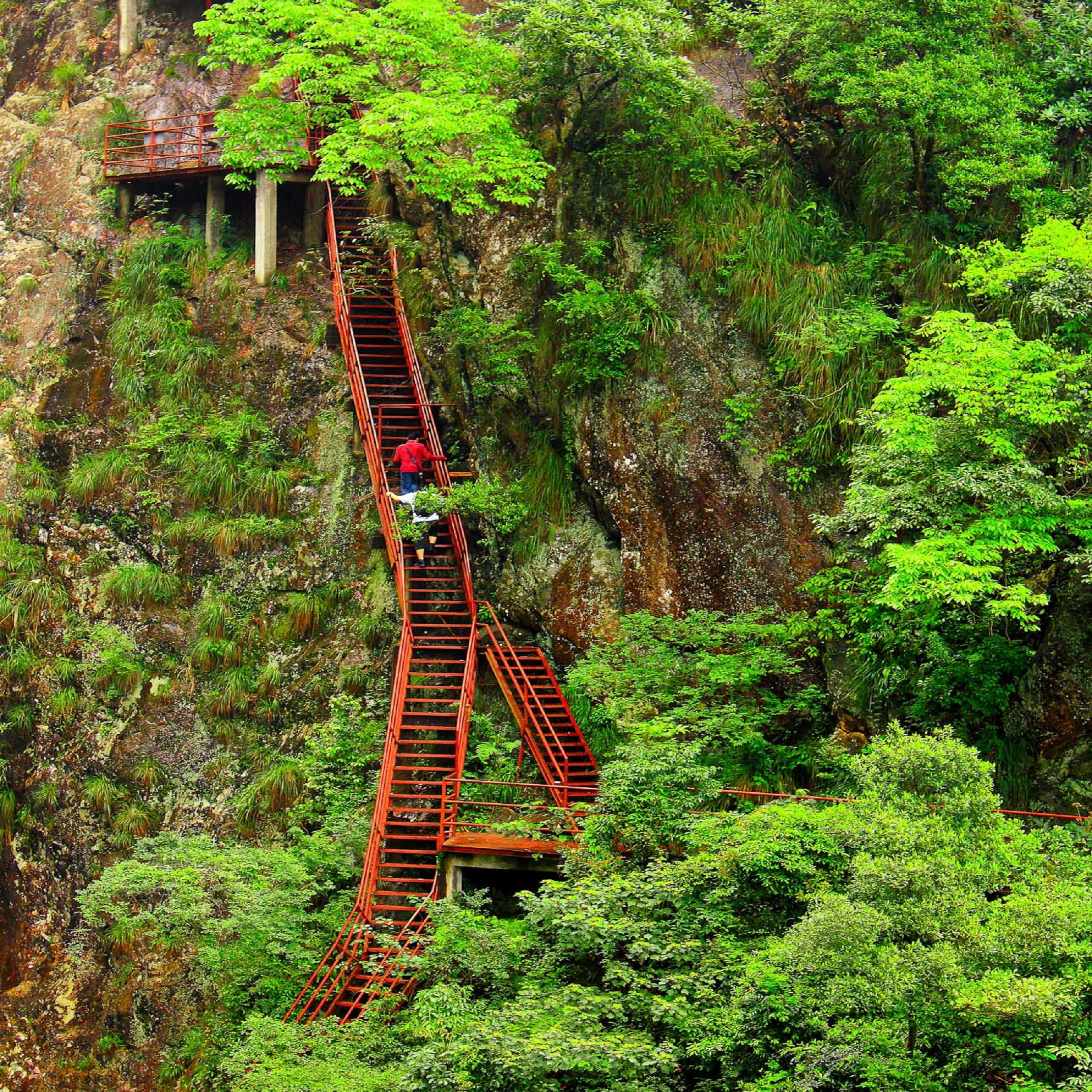 福建旗山国家森林公园
