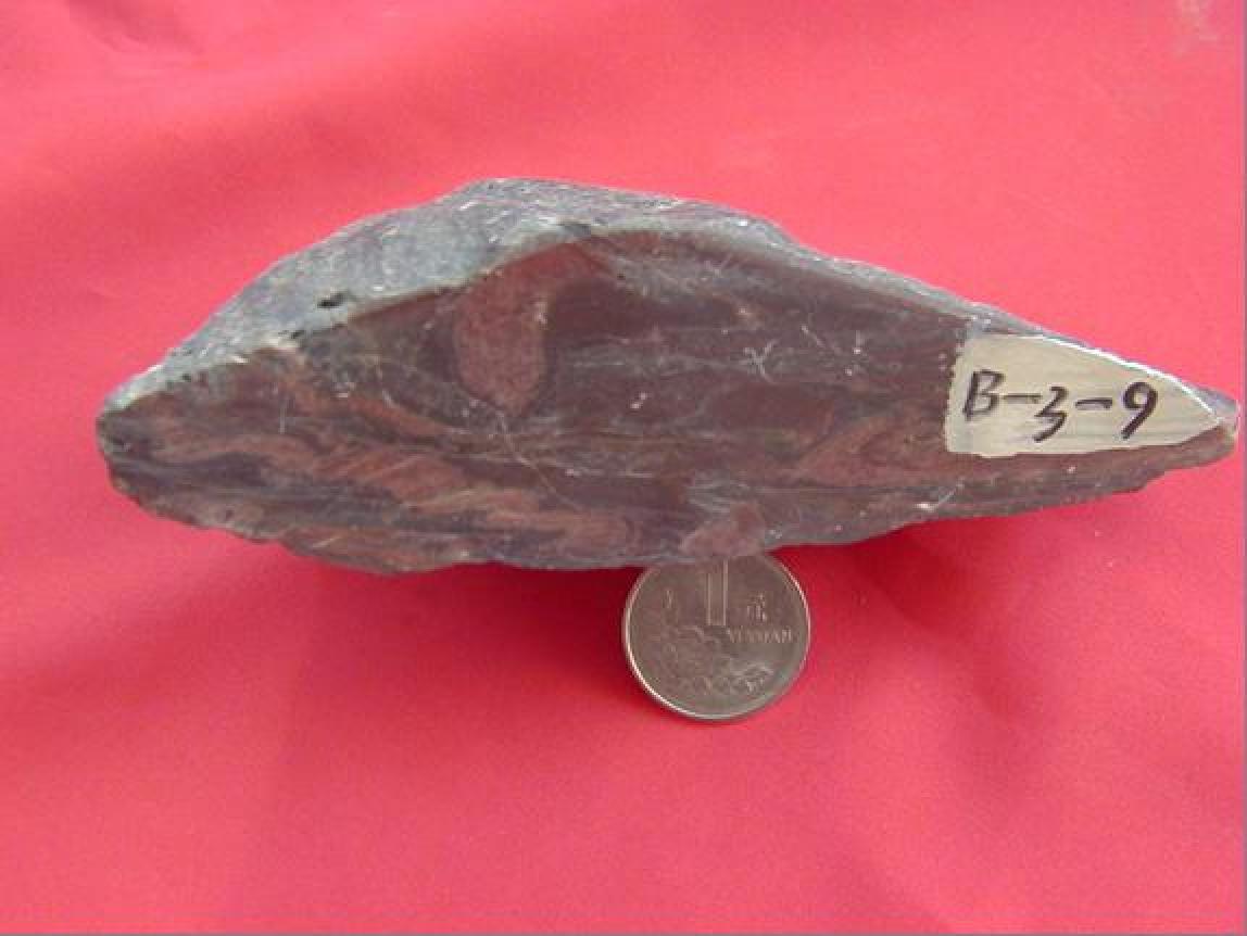 并特别是发育在 a target="_blank" href="/item/混合岩化作用