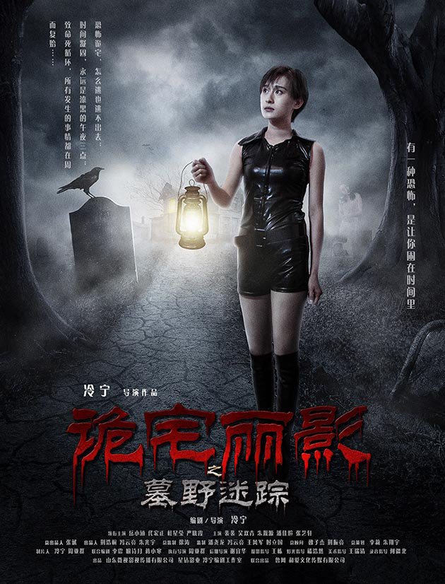  p>《诡宅丽影》是由冷宁编剧并导演的电影.