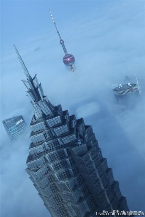 金茂大厦
