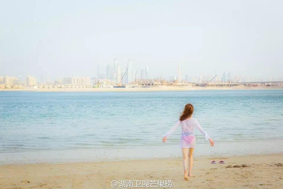 郑爽(演员小郑爽)