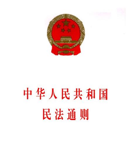 中华人民共和国民法通则案例解读本