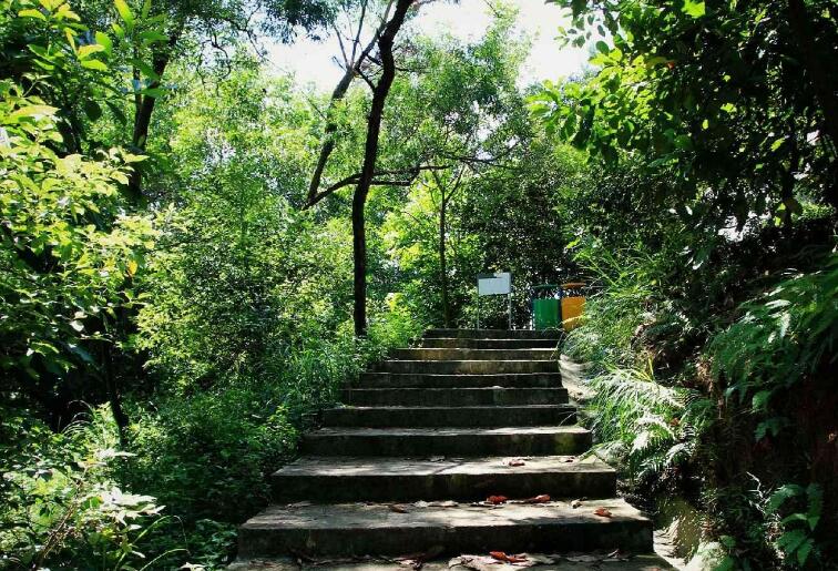 金钟山森林公园