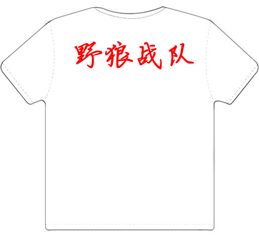 中南民族大学野狼战队