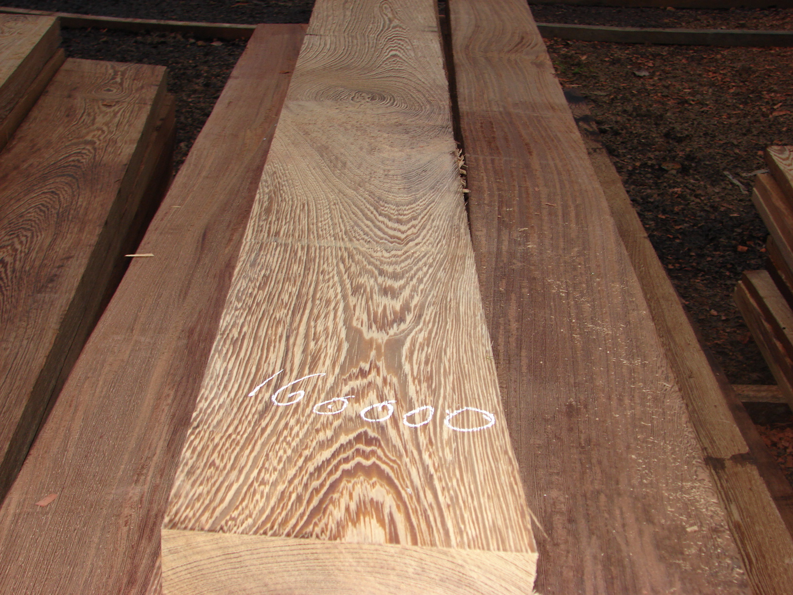  p> a href="#" data-lemmaid="6793005">非洲崖豆木 /a>, a href="#"