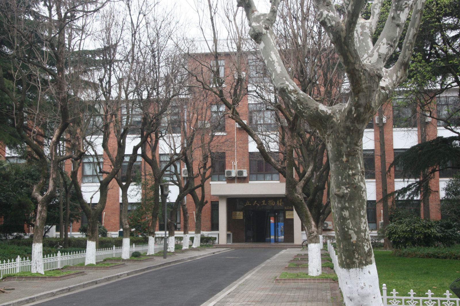 复旦大学生命科学院