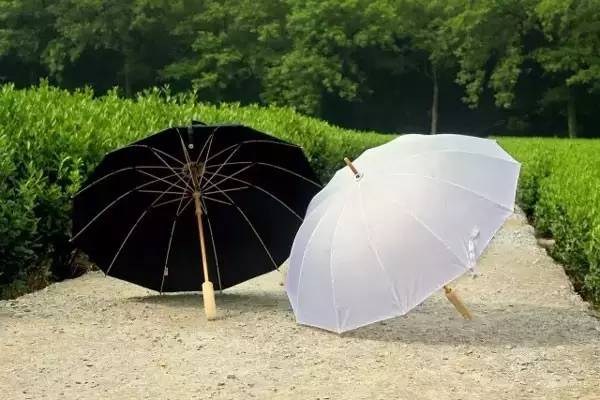 一个大学老师，一群90后，用一把伞，拿遍了全球最厉害的_百科TA说
