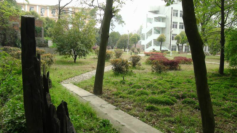  p>铜陵市第十五中学是1999年成立的一所全日制完全中学,是基础教育