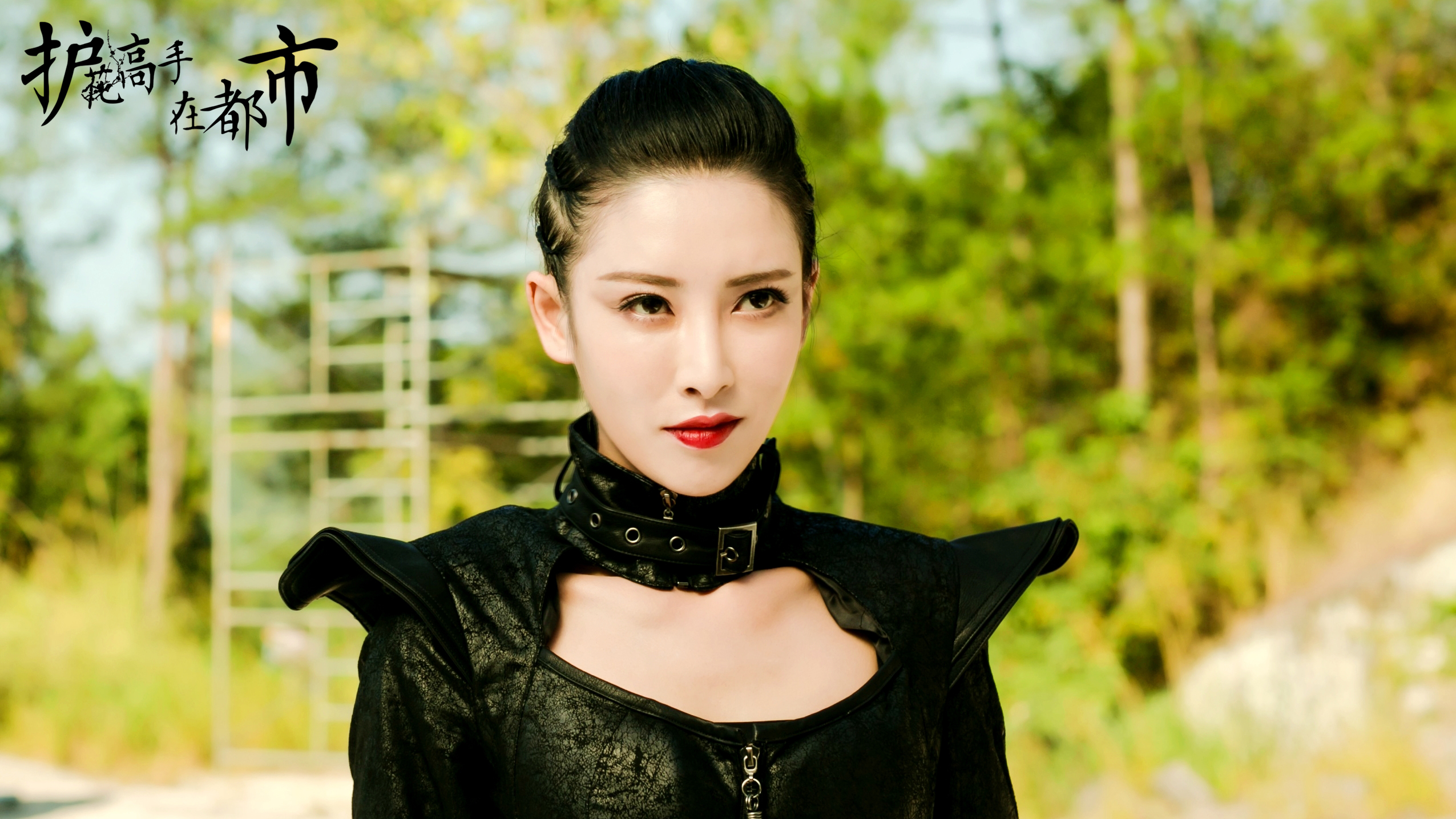 护花高手在都市