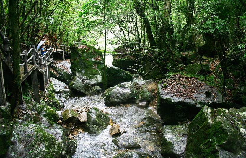 浙江省乌岩岭国家级自然保护区